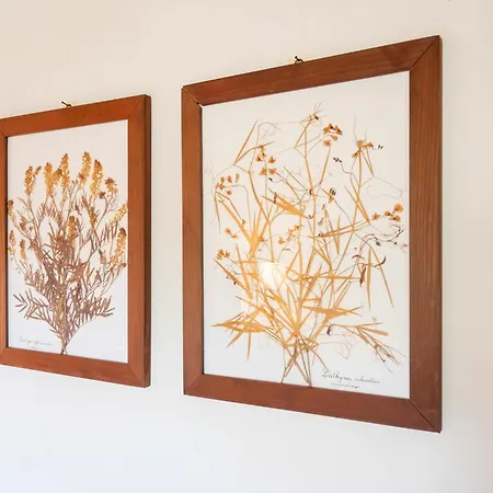 Peaceful Getaway In * Frontino